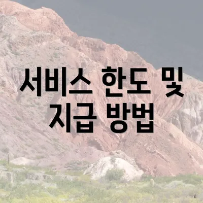 서비스 한도 및 지급 방법