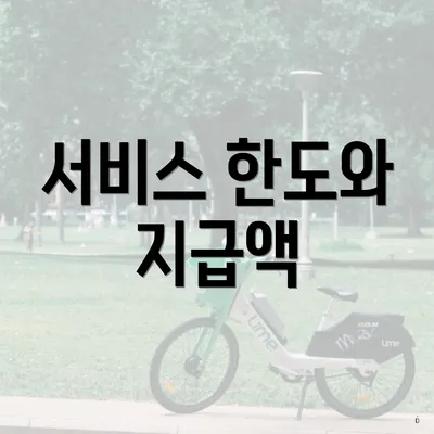 서비스 한도와 지급액