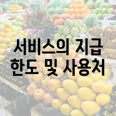 서비스의 지급 한도 및 사용처