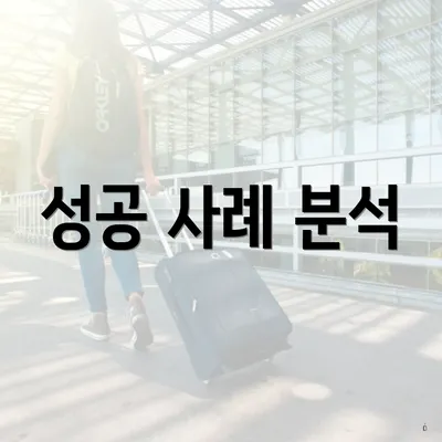 성공 사례 분석