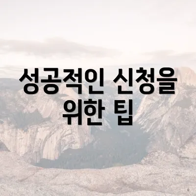 성공적인 신청을 위한 팁