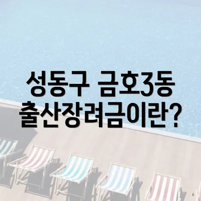 성동구 금호3동 출산장려금이란?