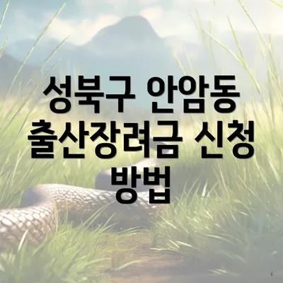 성북구 안암동 출산장려금 신청 방법