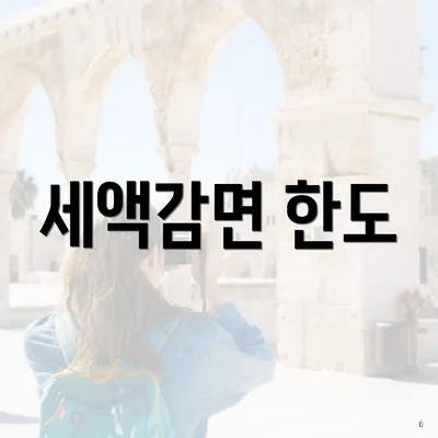 세액감면 한도