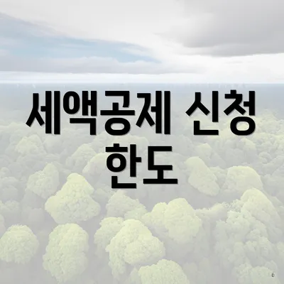 세액공제 신청 한도
