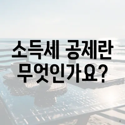 소득세 공제란 무엇인가요?