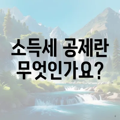 소득세 공제란 무엇인가요?