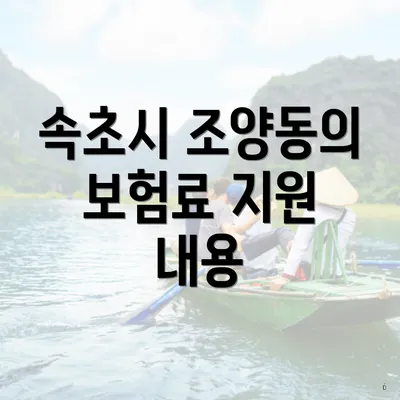 속초시 조양동의 보험료 지원 내용