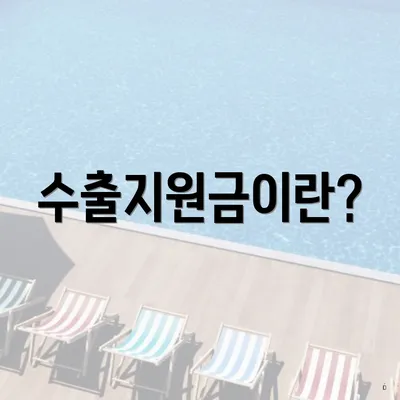 수출지원금이란?