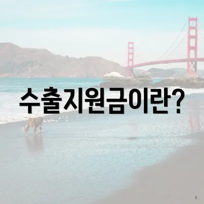수출지원금이란?