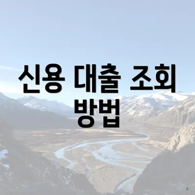 신용 대출 조회 방법