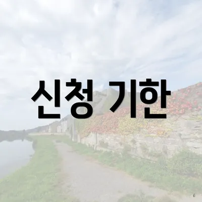 신청 기한