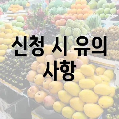 신청 시 유의 사항