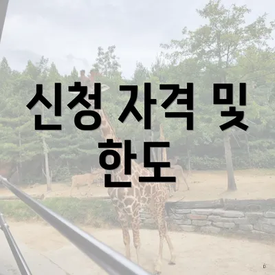 신청 자격 및 한도