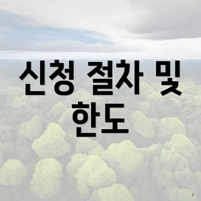 신청 절차 및 한도