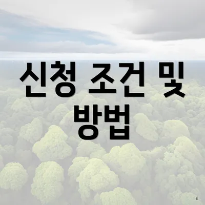 신청 조건 및 방법