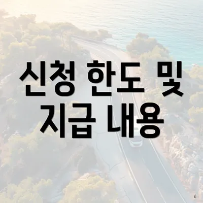 신청 한도 및 지급 내용