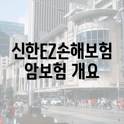 신한EZ손해보험 암보험 개요