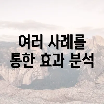 여러 사례를 통한 효과 분석