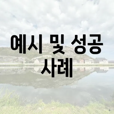 예시 및 성공 사례