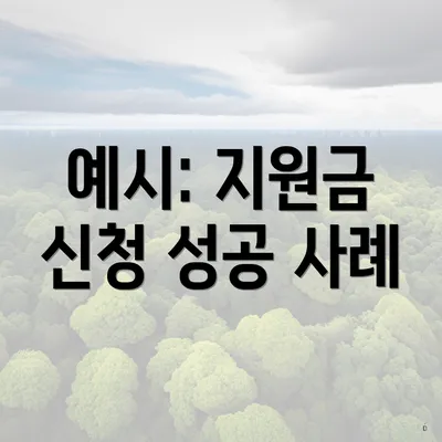 예시: 지원금 신청 성공 사례