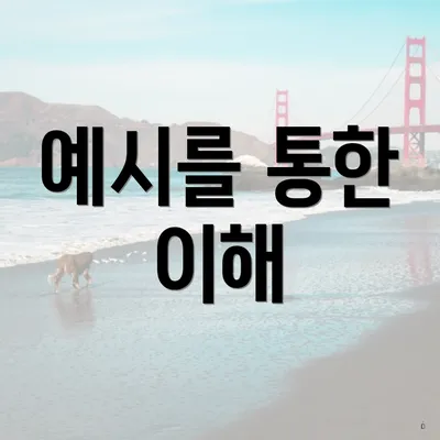 예시를 통한 이해