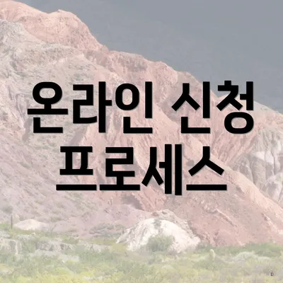온라인 신청 프로세스