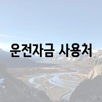 운전자금 사용처
