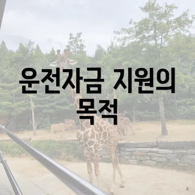 운전자금 지원의 목적