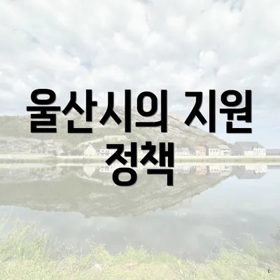 울산시의 지원 정책
