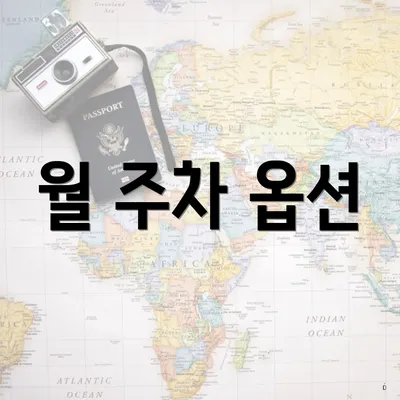 월 주차 옵션