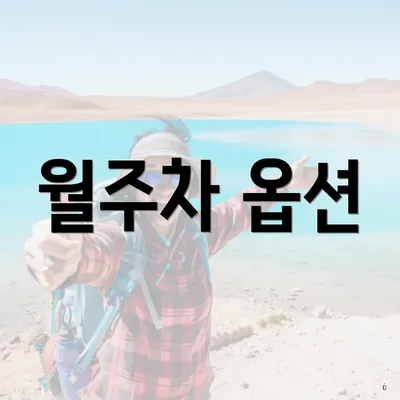 월주차 옵션