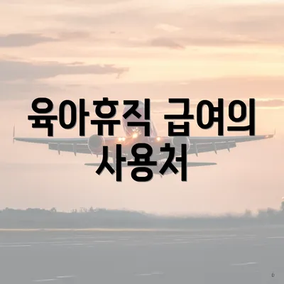 육아휴직 급여의 사용처