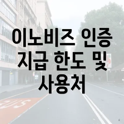 이노비즈 인증 지급 한도 및 사용처