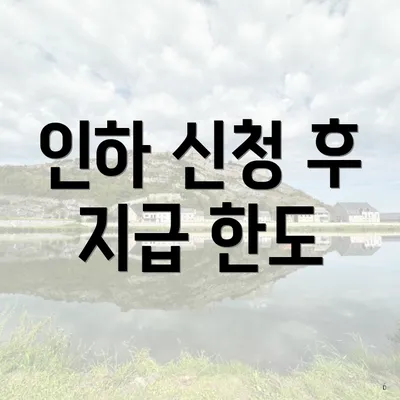 인하 신청 후 지급 한도