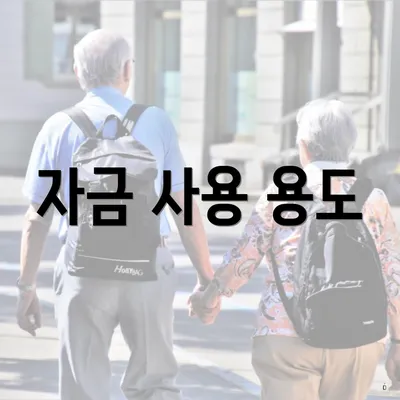 자금 사용 용도