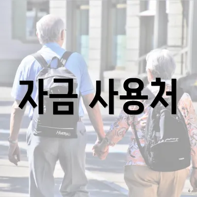 자금 사용처