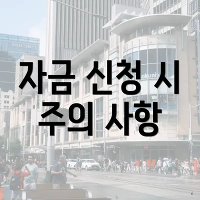자금 신청 시 주의 사항