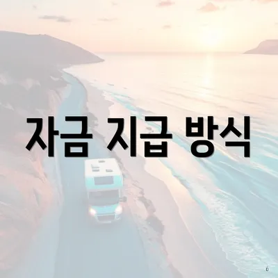 자금 지급 방식