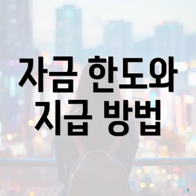 자금 한도와 지급 방법