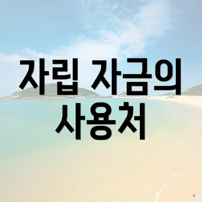 자립 자금의 사용처