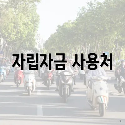 자립자금 사용처