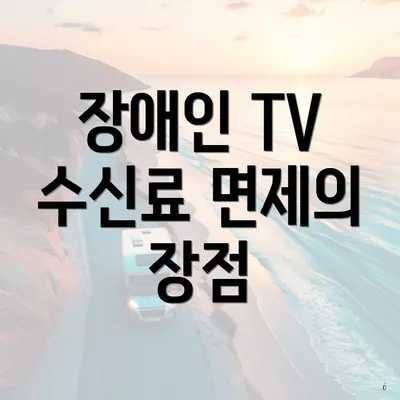 장애인 TV 수신료 면제의 장점