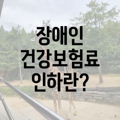 장애인 건강보험료 인하란?
