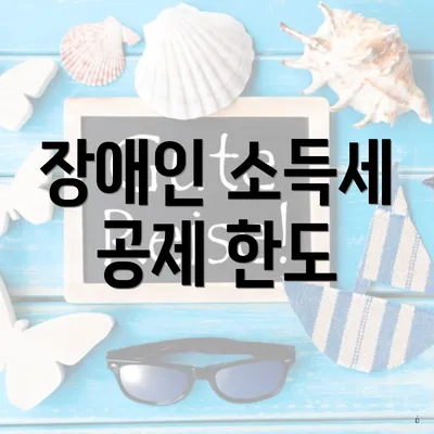 장애인 소득세 공제 한도