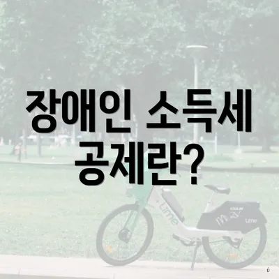 장애인 소득세 공제란?