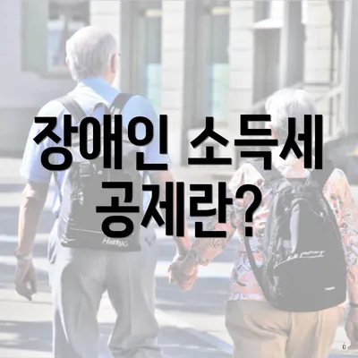 장애인 소득세 공제란?