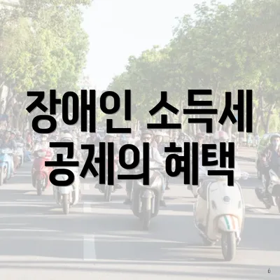 장애인 소득세 공제의 혜택