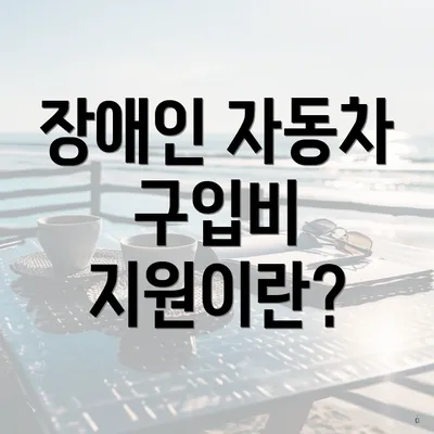 장애인 자동차 구입비 지원이란?