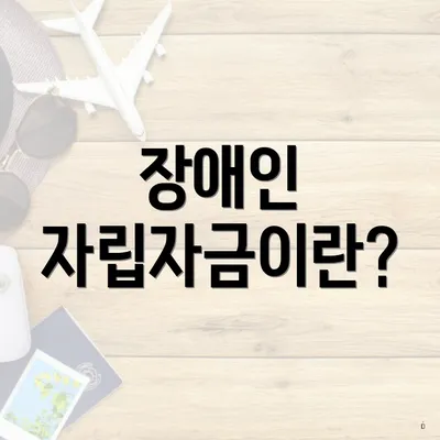 장애인 자립자금이란?